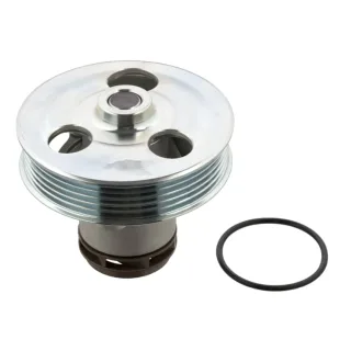 Febi Wasserpumpe + Dichtung VW Beetle Golf Jetta New