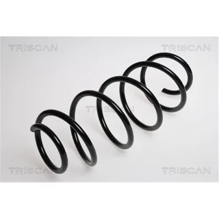Triscan Feder vorne Ford Fiesta 5 1,4