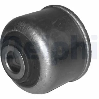 Delphi Querlenkerlager Renault 19 Megane Sc?nic