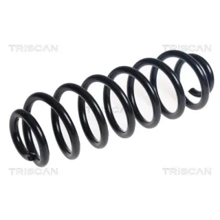 Triscan Feder hinten VW Passat B6 B7 875029511