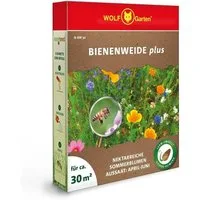 WOLF-Garten Blumendünger Saatgut-Mischung "Bienenweide Plus" N-BW 30 für ca. 30m², 1-St.