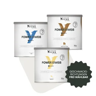 Power Eiweiß Dose Vorteilspack 3er-Set