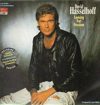 Looking for freedom - David Hasselhoff [Vinyl]
