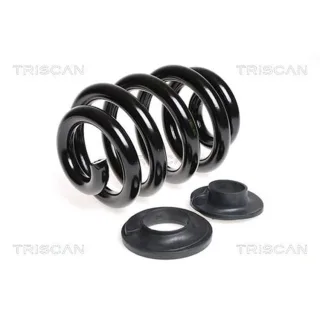 Triscan Feder Hinten VW Transporter T6 875029152