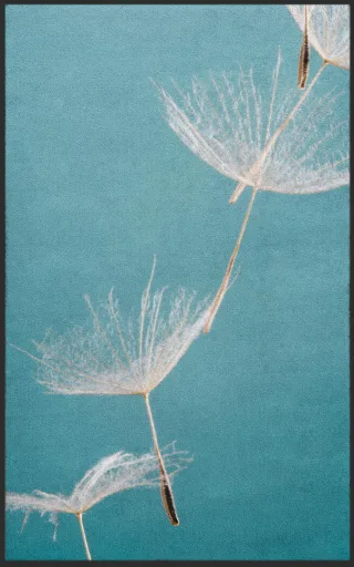 Fussmatte 7174 | Größe: 60 cm x 90 cm