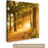 OneMillionCanvasses® Leinwandbild Wald - Bäume - Sonnenlicht - Herbst - Weg - Natur, Fotodruck (1 St), Wandbild, Deko Schlafzimmer Wohnzimmer Flur 20x20 cm