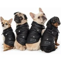 KARL LAGERFELD Hundejacke Hunde Regenjacke Hundemantel Regenmantel, Optimaler Schutz vor Regen, Wind und Schmutz