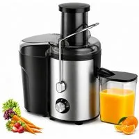 Fyrove Entsafter Entsafter aus Edelstahl Zentrifugenentsafter für Obst und Gemüse, 600 W, Zentrifugaler 75 mm Einfüllöffnung Überhitzungsschutz BPA-frei
