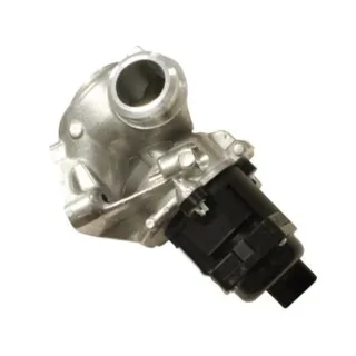 Hueco AGR-Ventil Citroen Ford Peugeot 1,6