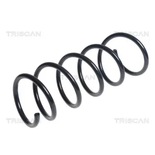 Triscan Feder vorne Dacia Duster 1,5