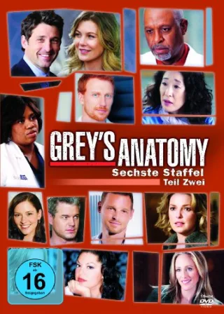 Grey's Anatomy: Die jungen Ärzte - Sechste Staffel Teil Zwei [3 DVDs]