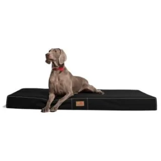 Tierlando HUGO BASIC Hundematratze schwarz 80 cm, 13 cm, 60 cm
