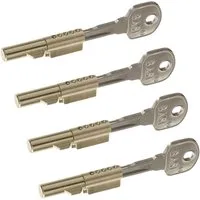 BASI Einsteckschloss Schlüssellochsperrer für Buntbart-Schlösser, (Packung, 4-tlg), 4er Set, Gleichschließend, Sicherung BB-Schloss, 4 Stück, 8 Schlüssel