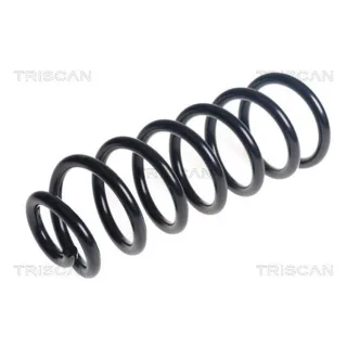 Triscan Feder hinten Hyundai Tucson Kia Sportage 875043160