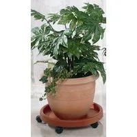 Ruco Blumentopfuntersetzer - Aufstellfläche bzw. Innenmaß ca. 30 cm, Set, 2-tlg., Kunststoff, Ø 34 cm