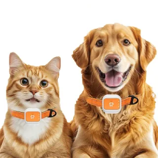 4G LTE Pet GPS Tracker IP66 Waterproof with Long Standby Real Time Tracking for Dogs Cats Electronic Fence Anti-Lost Dev