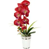 Kunstblume Orchidee, I.GE.A., Höhe 52 cm, im Topf, aus Keramik, Seidenblume Real Touch
