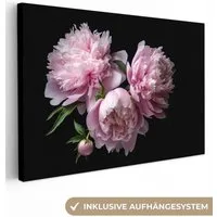 OneMillionCanvasses® Leinwandbild Pfingstrose - Rosa - Blumig - Botanisch - Natur, Fotodruck (1 St), Leinwand Bilder Klein, Wand Dekoration Aesthetic 30x20 cm