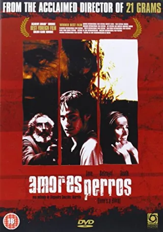 Amores Perros [DVD]