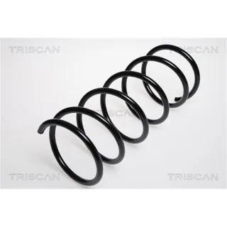 Triscan Feder vorne Ford Courier Fiesta Mazda 121