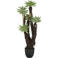 Kunstpflanze Dudleya, Creativ green, Höhe 80 cm, mit naturgetreuer Gestaltung