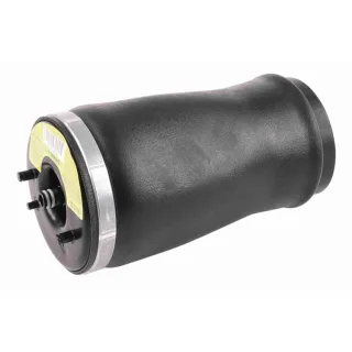 Vemo Luftfederbein hinten links BMW X5 E53 V20-50-0003-1
