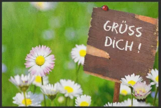 Fussmatte Grüss Dich 4739 | Größe: 60 cm x 45 cm