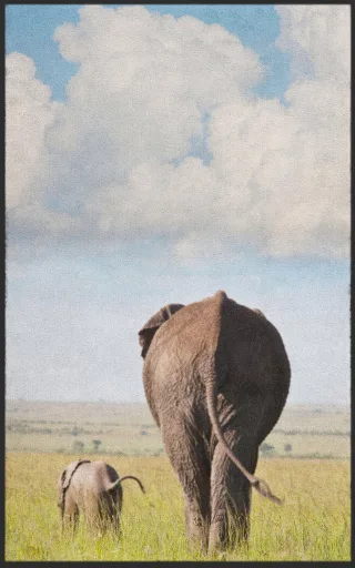 Fussmatte 7742 | Größe: 60 cm x 90 cm