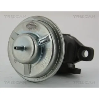 Triscan AGR-Ventil Hyundai Getz Tucson Kia Sportage