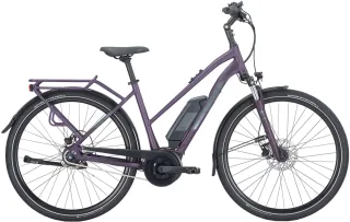 E-Bike  - Pegasus Solero E8R Plus Unisex   - 50 cm