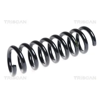 Triscan Feder hinten Mercedes C-Klasse 875023134