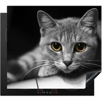 MuchoWow Herd-Abdeckplatte Katze - Tier - Makro, Vinyl, (1 tlg), Abdeckplatte für Ceranfeld, Herd Inductionsmatte, 57.6x51.6 cm