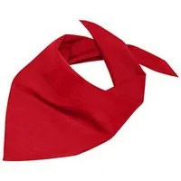 Goodman Design Dreieckstuch Bandana Halstuch Multifunktionstuch, angenehmer Tragekomfort ca. 85cm X 40cm