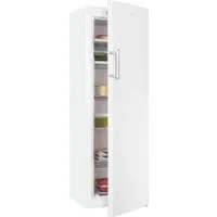 exquisit Gefrierschrank GS271-NF-H-040D weiss, 170,5 cm hoch, 54 cm breit, 4*-Gefrierschrank No Frost mit LED-Anzeige & praktischem Griff