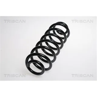 Triscan Feder hinten Skoda Superb VW Passat Tiguan