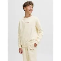 Jack & Jones Junior Sweatshirt JORNORREBRO EMB SWEAT CREW NOOS JNR
