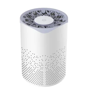 Air Purifiers Home Desktop Smoke Formaldehyde Deodorizer Filtration System Cleaner Odor Eliminators