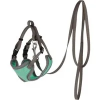 Kerbl Geschirr Katzengeschirr mit Leine 29 cm - 35 cm türkis 80691