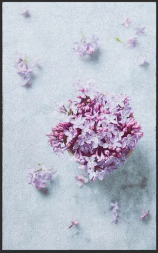 Fussmatte 7276 | Größe: 60 cm x 90 cm