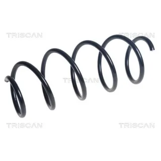 Triscan Feder vorne Mercedes A-Klasse W169 B-Klasse W245 875023213