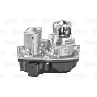 Valeo AGR-Ventil + Dichtung Fiat Mercedes Nissan Opel Renault