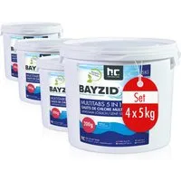 Höfer Chemie GmbH Poolpflege 4x 5 kg BAYZID® Multitabs 200g 5in1 für Pools, Komplette Poolpflege in praktischen Langzeittabletten