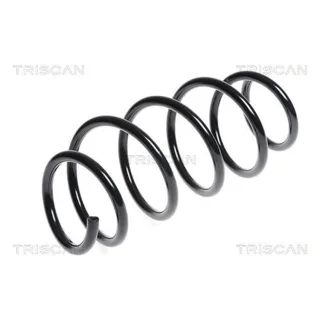 Triscan Feder vorne Ford Fiesta 6 875016073
