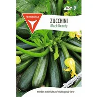 FRANKONIA Gemüsesamen Zucchini, Black Beauty - Saatgut Zucchini-Samen Samen, Cucurbita pepo