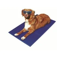 Pet-Star Tierkissen Pet-Star Kühlmatte Größe: 65 x 50 cm