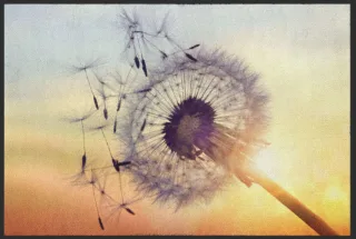 Fussmatte Pusteblume 4616 | Größe: 60 cm x 45 cm