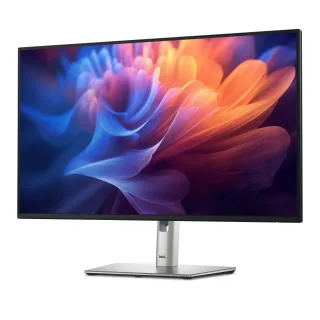 Dell P2725H 27 Zoll Full HD (1920x1080) Monitor 100Hz IPS 5ms 99% sRGB USB-C DisplayPort HDMI VGA 4X USB 3 Jahre Garantie Schwarz
