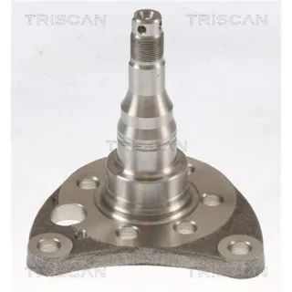 Triscan Radnabe Hinten Seat VW 853529012