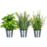 Künstliche Zimmerpflanze Kräuter Kräuter, Gasper, Höhe 26 cm, Im Topf, Grün, Kräuter, H: 26cm