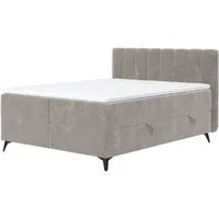 COTTA Boxbett Vicky inkl. Bettkasten, erhältlich in den Breiten 160x200cm & 180x200cm